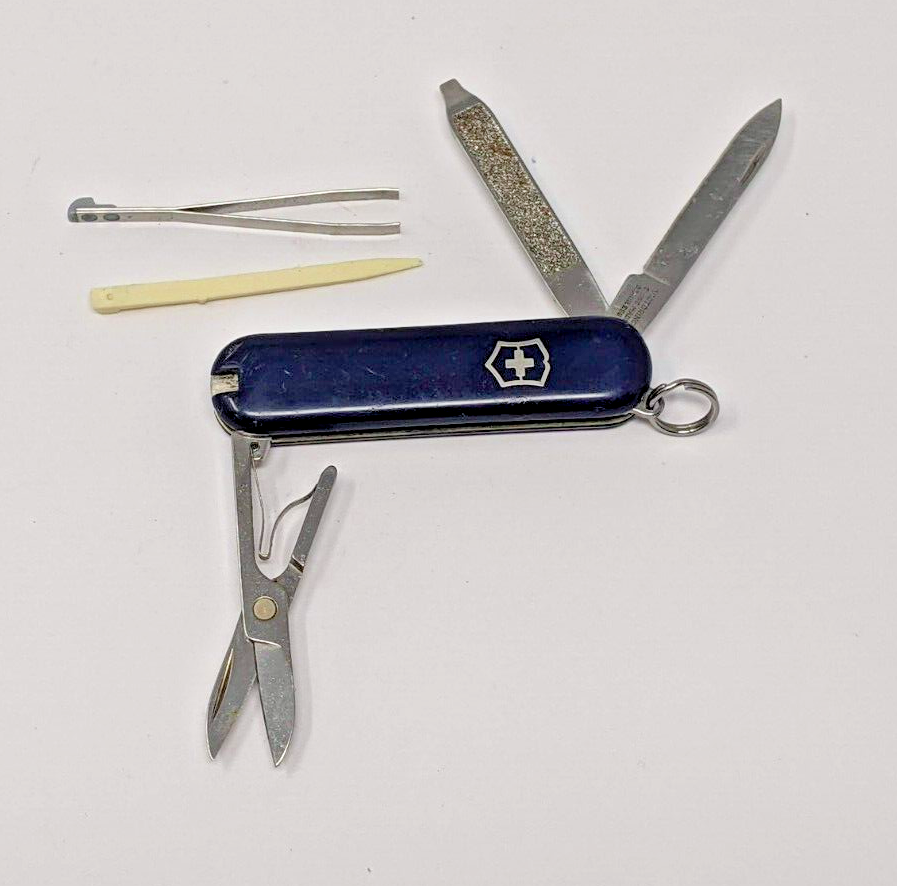 Victorinox - 5.2002.25 - 10 in Straight Edge Blue Chef Knife